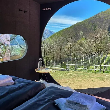 Birdbox Curzútt Monte Carasso