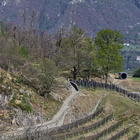 Birdbox Curzútt * Monte Carasso